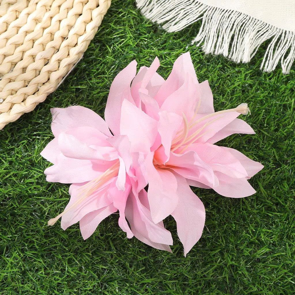 z7153567896869_f12fb6c43074d0d259e5add8bfa95f12