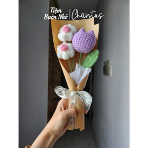 Tulip cúc họa mi 2025